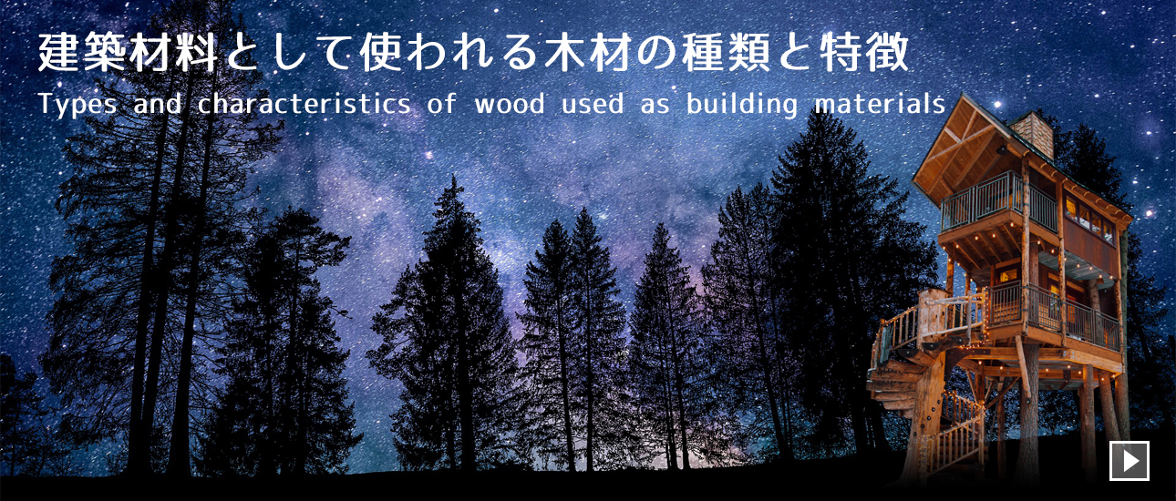 建築材料として使われる木材の種類と特徴
