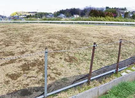 地震に強い家を建てる際の注意点