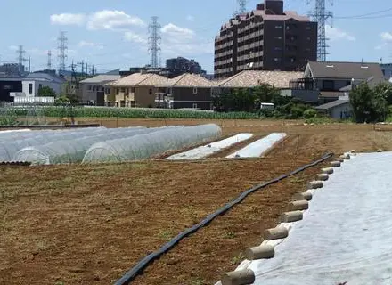 基準地価（きじゅんちか）とは？